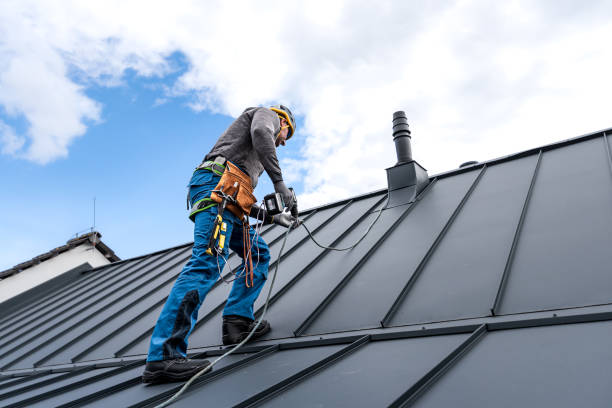 Professional Roofing Services in Coats Bend, AL